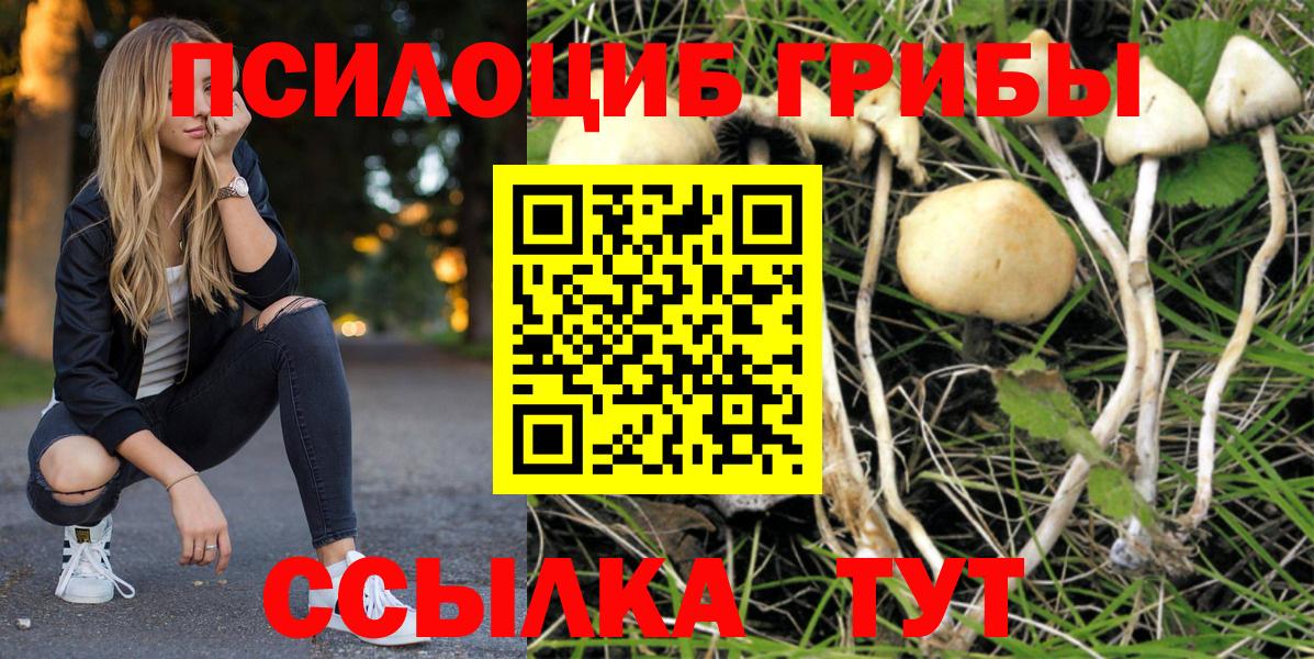 Галлюциногенные грибы Psilocybine cubensis  наркотики  Сибай  Вход с VPN  Галлюциногенные грибы Psilocybe 
